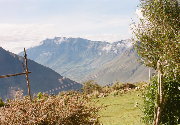 Reflections From Peru
