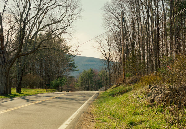 Saugerties Spring Editorial