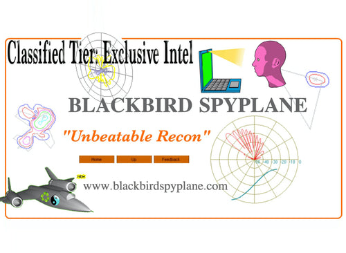 Interview with Blackbird Spyplane