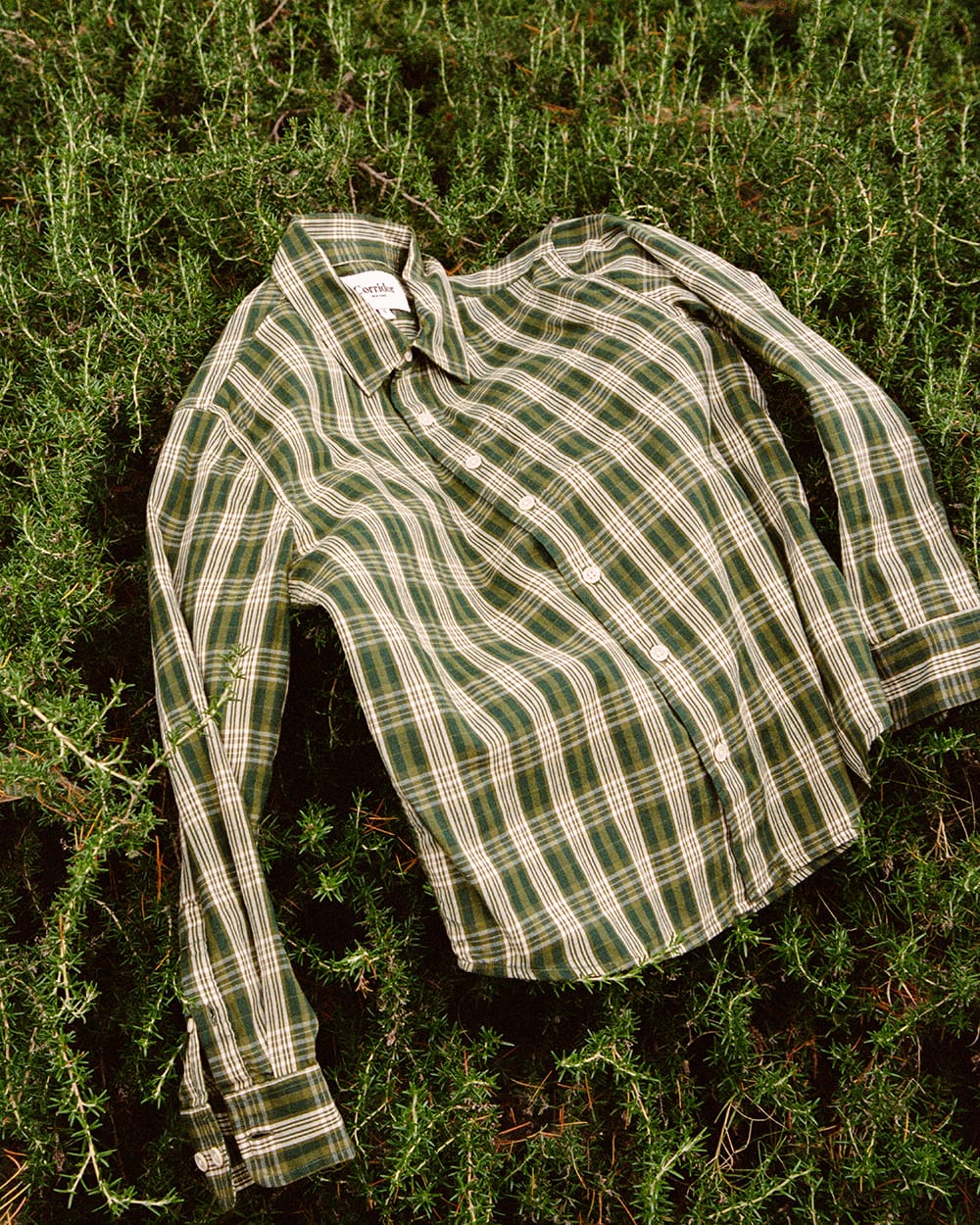 Verdant Check LS-LS w/ 1 Chest Pocket-Original Madras Trading Co. (OMTC)-Corridor