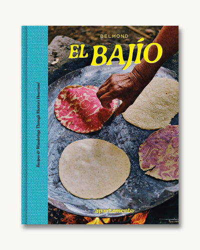 EL BAJÍO: Recipes & Wanderings Through Mexico's Heartland-Book-APARTMENTO-Corridor
