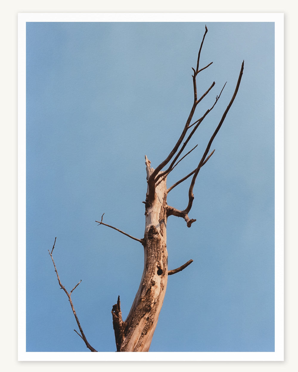 Photo Print - Skyward-Home-Tribeca Print Works-Corridor