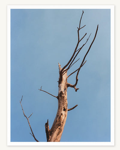 Photo Print - Skyward-Home-Tribeca Print Works-Corridor