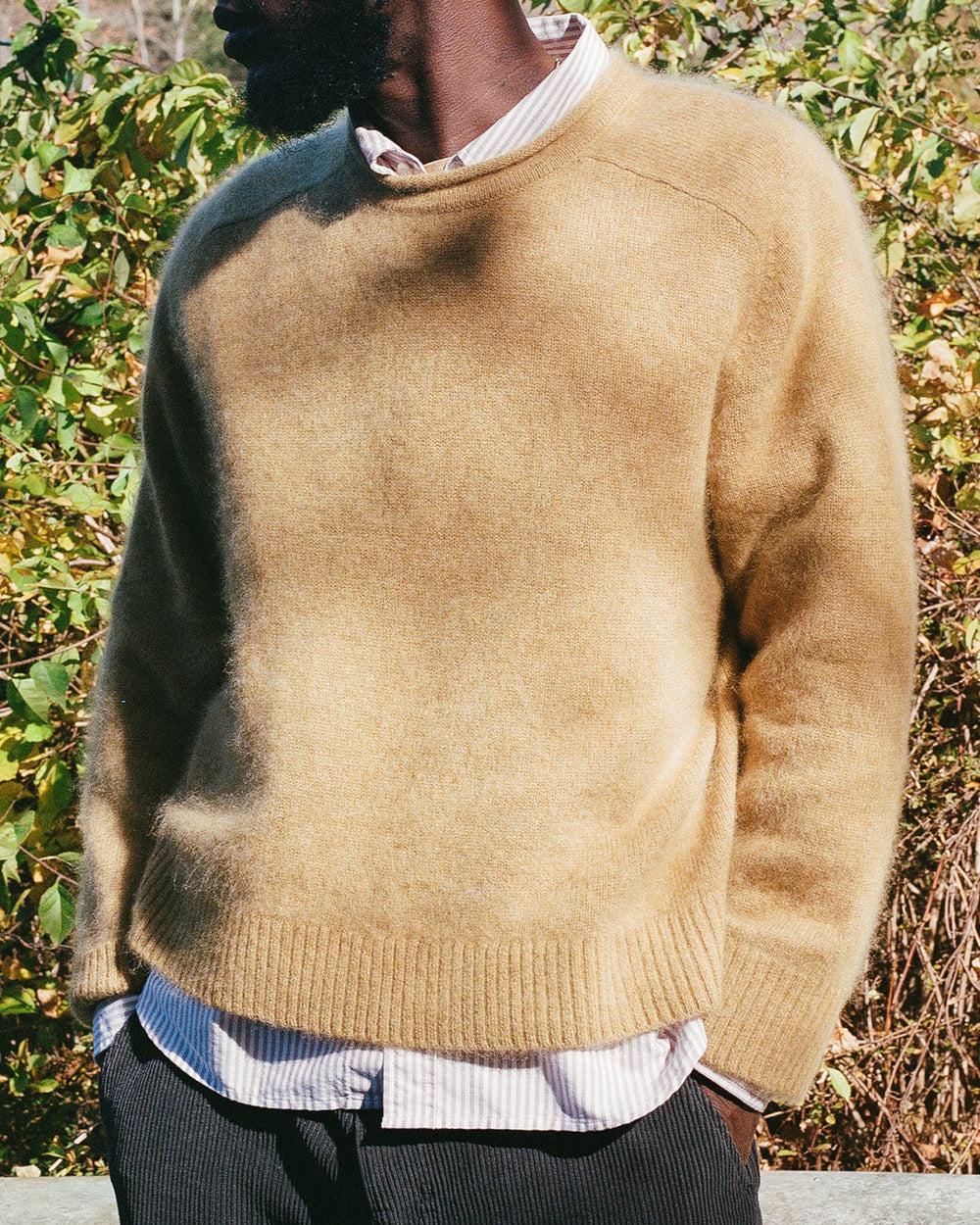 Wool Cashmere Rollneck - Gold