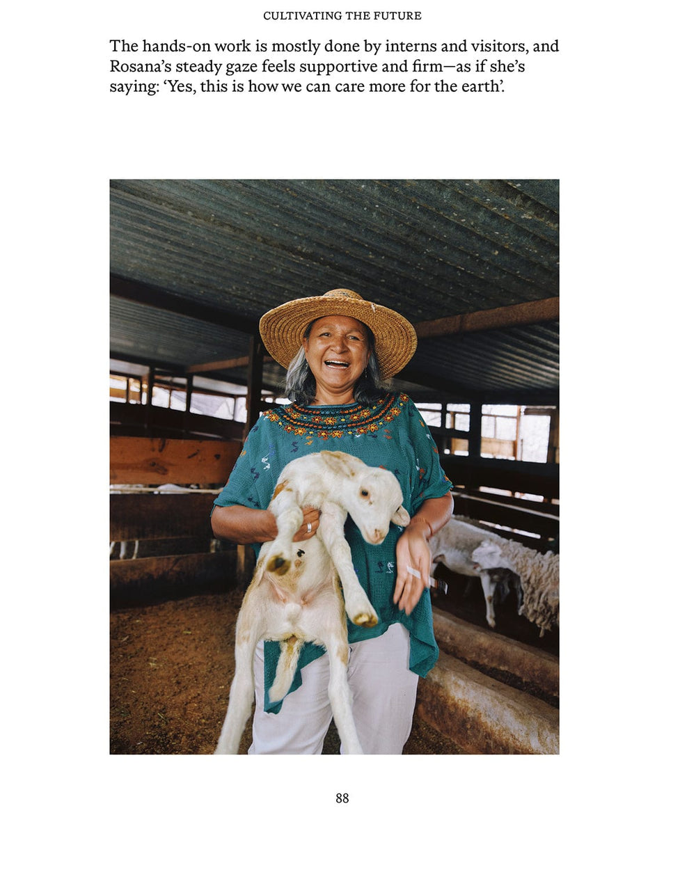 EL BAJÍO: Recipes & Wanderings Through Mexico's Heartland-Book-APARTMENTO-Corridor