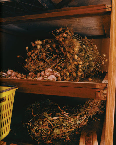 EL BAJÍO: Recipes & Wanderings Through Mexico's Heartland-Book-APARTMENTO-Corridor