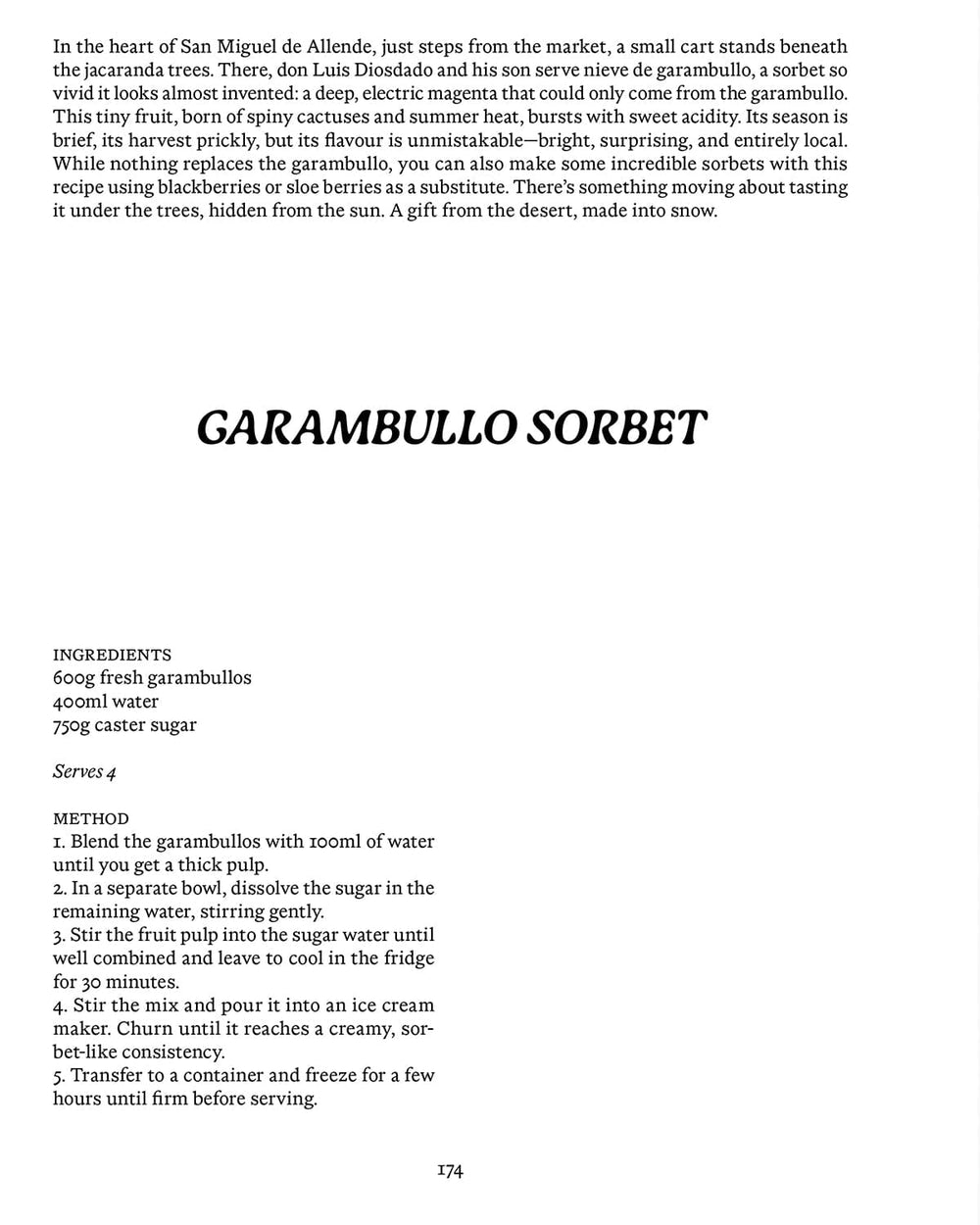 EL BAJÍO: Recipes & Wanderings Through Mexico's Heartland-Book-APARTMENTO-Corridor