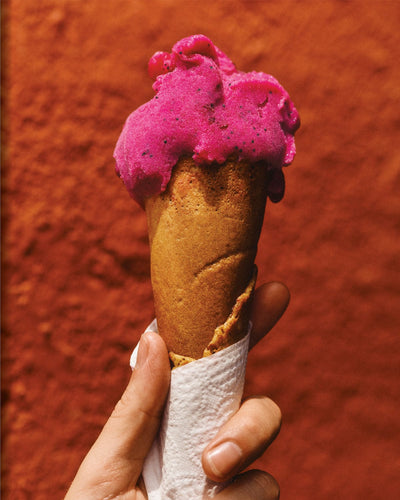 EL BAJÍO: Recipes & Wanderings Through Mexico's Heartland-Book-APARTMENTO-Corridor